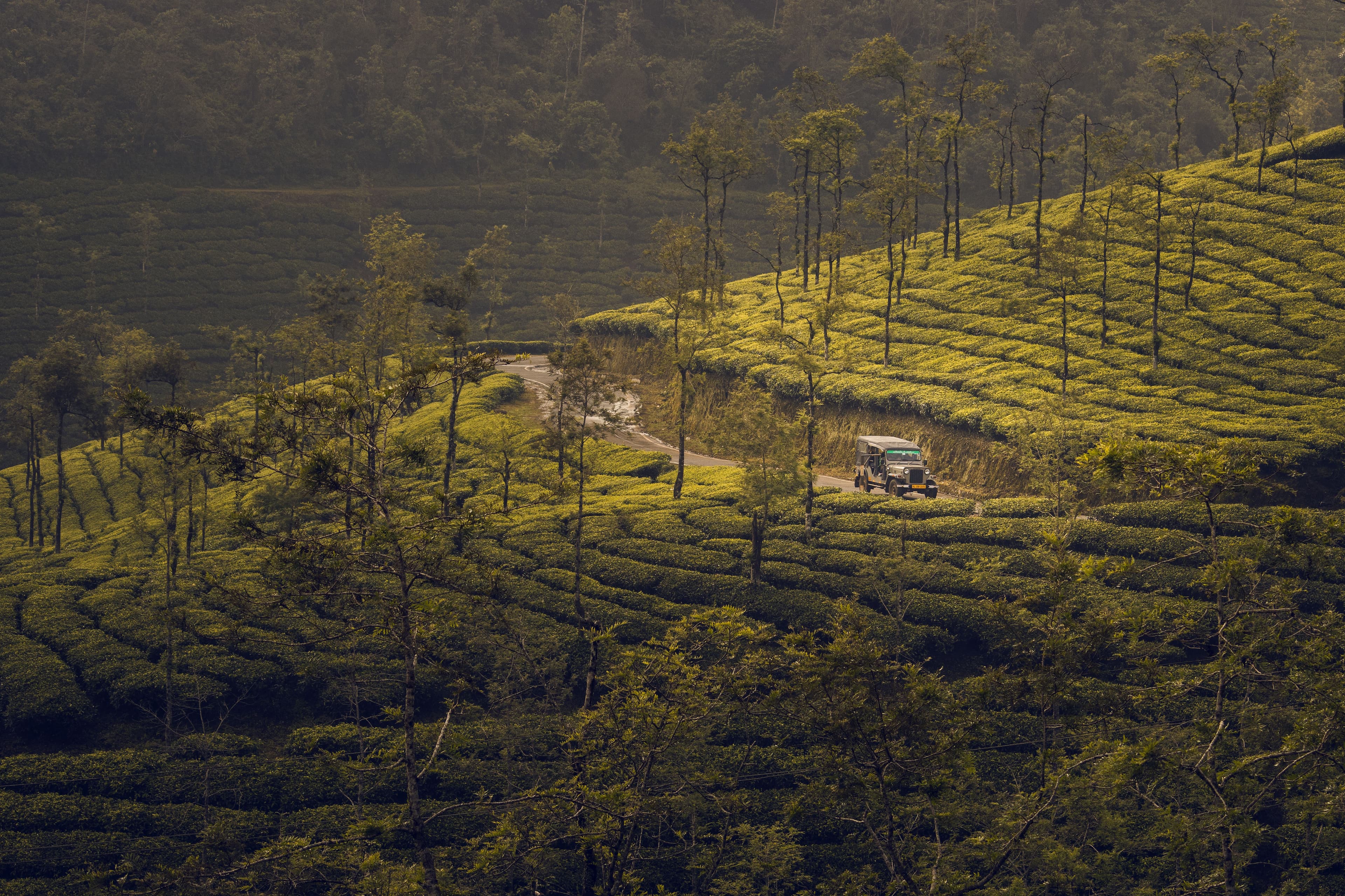 Wayanad, Kerala