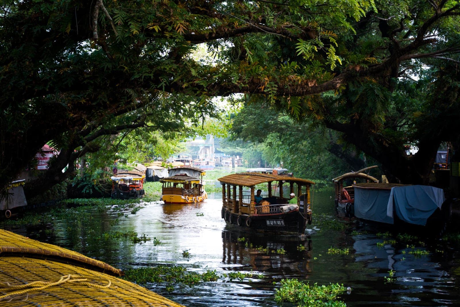 Alapuzha, Kerala