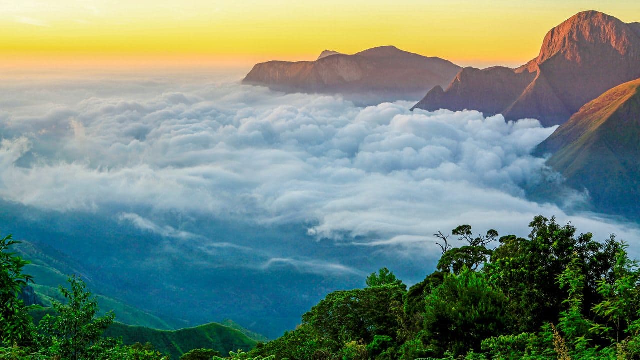 Munnar, Kerala