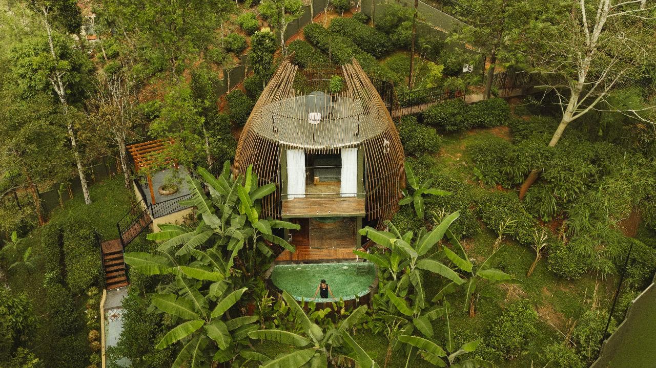 Cocoon