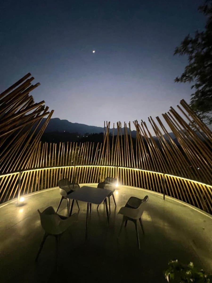 Cocoon photo 4