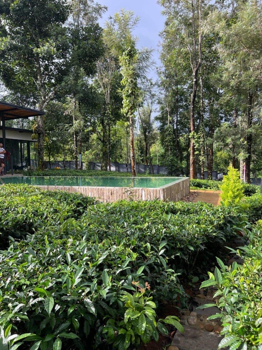 Cataliya photo 3