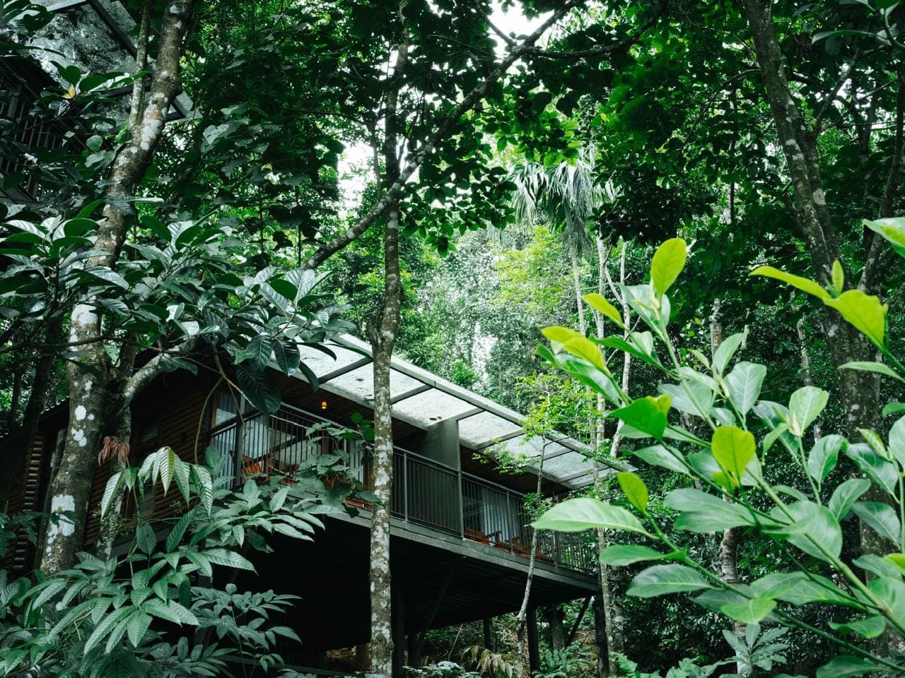 Chembarathi Wayanad Boutique Resort photo 3
